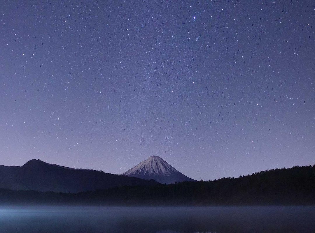 Understanding the Basics: How Subtitle Files Work