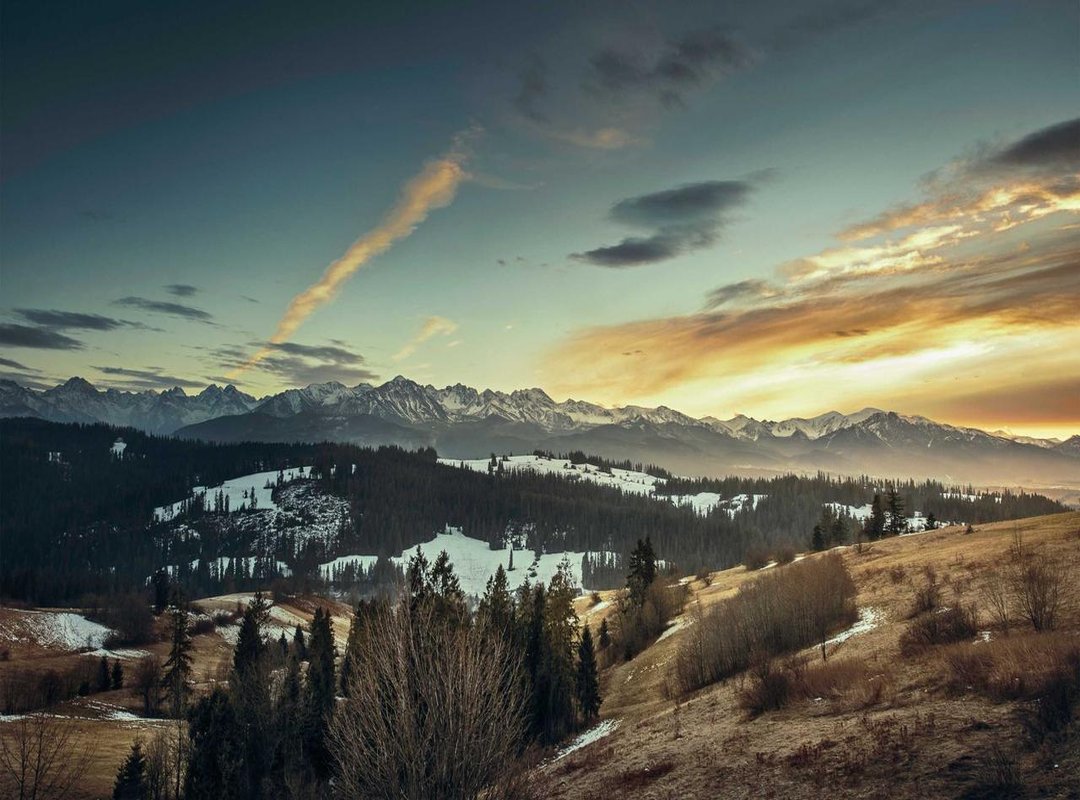 Navigating the Platforms: User Experience and Accessibility