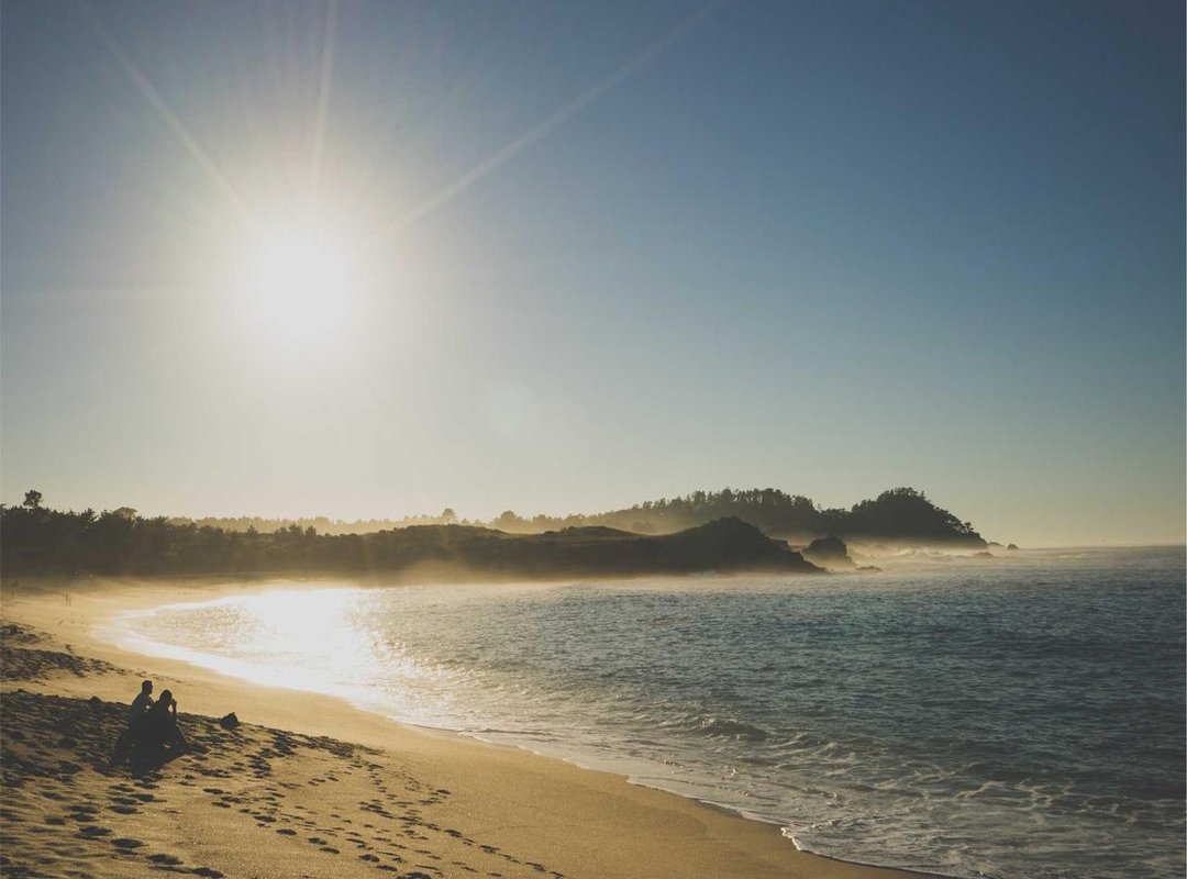 Pain, Healing, and Aftercare: Your Guide to a Lasting Tattoo